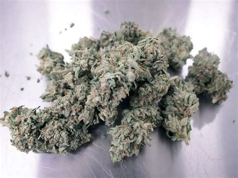 Cannabis and hallucinogen use remain at ‘historically .